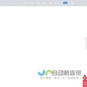 德国菲玛艺术漆加盟