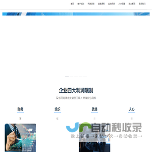智顶咨询