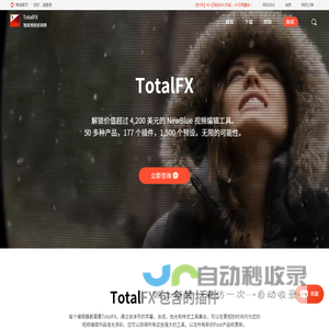 TotalFX中文网站