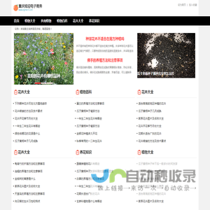 重庆娅迎电子商务有限公司