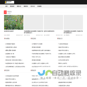 重庆恒曼网络信息咨询有限公司