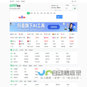 16999上网导航