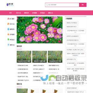 重庆浩萱电子商务有限公司