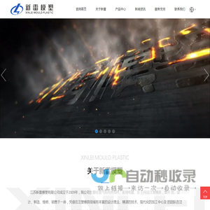 江苏新雷模塑有限公司