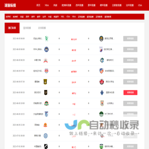 球赛纵横