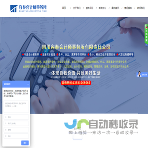 [容泰会计师事务所]审计报告