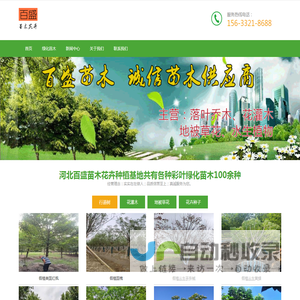 LED发光字