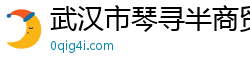 武汉市琴寻半商贸有限公司