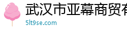 武汉市亚幕商贸有限公司