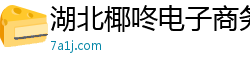 湖北椰咚电子商务有限公司