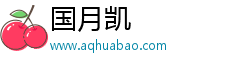 重庆国月凯贸易有限公司