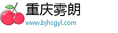 重庆雾朗科技有限公司