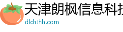 天津朗枫信息科技有限公司
