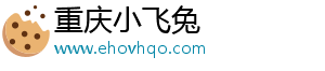 重庆小飞兔电子商务有限公司