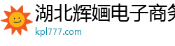 湖北辉婳电子商务有限公司
