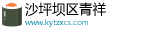 沙坪坝区青祥网络技术工作室（个体工商户）