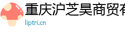 重庆沪芝昊商贸有限公司