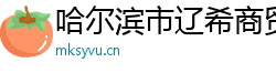 哈尔滨市辽希商贸有限公司