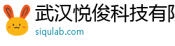 武汉悦俊科技有限公司