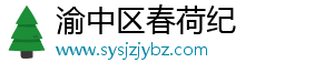 渝中区春荷纪百货店（个体工商户）