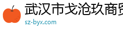 武汉市戈沧玖商贸有限公司