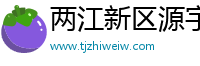 两江新区源宇行电子商务商行（个体工商户）