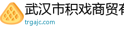 武汉市积戏商贸有限公司