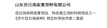 百日鸡鸡苗