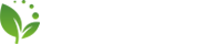 粤联国际快递