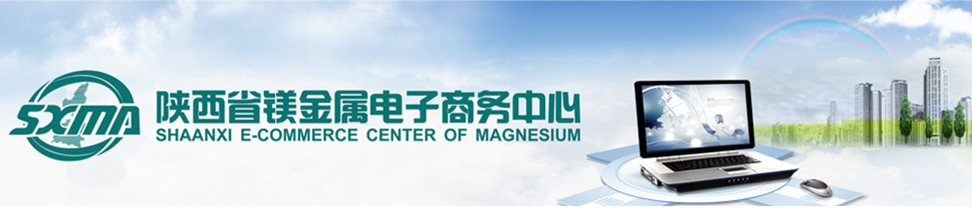 陕镁集团