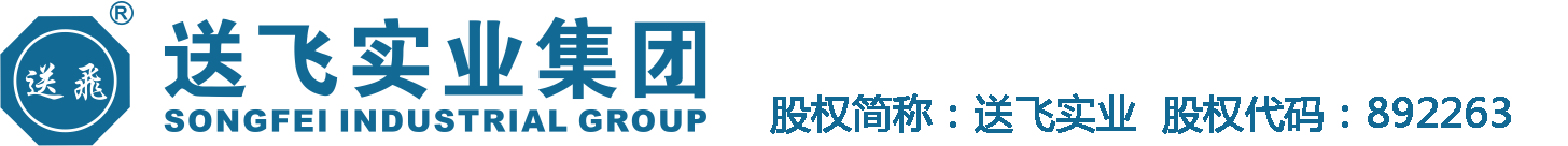 送飞直升机坪安装公司