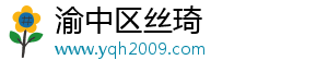 渝中区丝琦网络科技工作室（个体工商户）