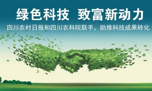 绿色新材料驱动城市可持续发展