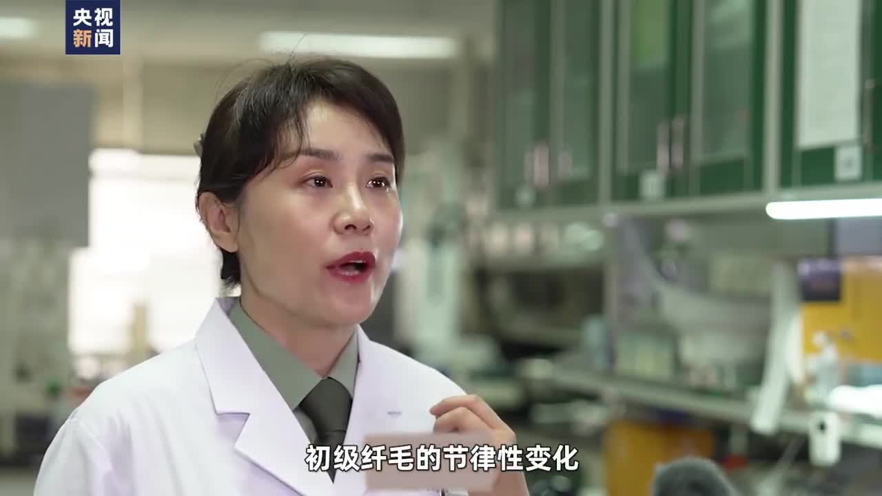 我国科学家成功在百比特量子芯片上实现新奇量子物态 (我国科学家成功制备单原子层金属)