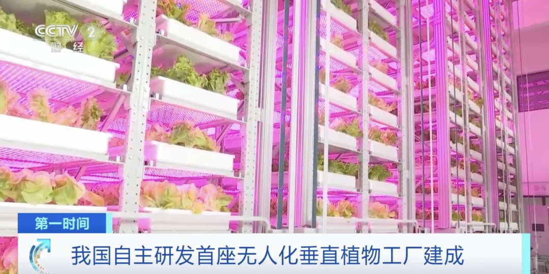 我国自主研发脑机接口技术实现重大突破 (我国自主研发的导航系统叫什么)
