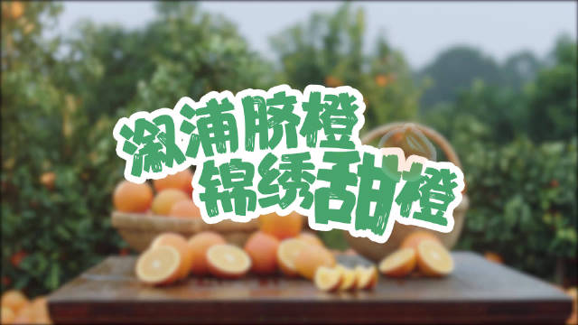 映乡好物& 生鲜早市创始人刘渊 激发创新力 从社区主播到银发电商破局者 新经济人物对话 不同意 用 (映乡好物刘渊)