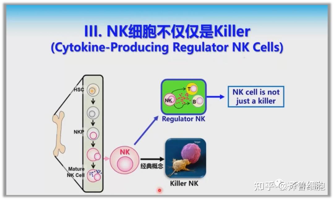 博腾生物