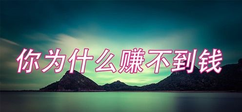 新势力