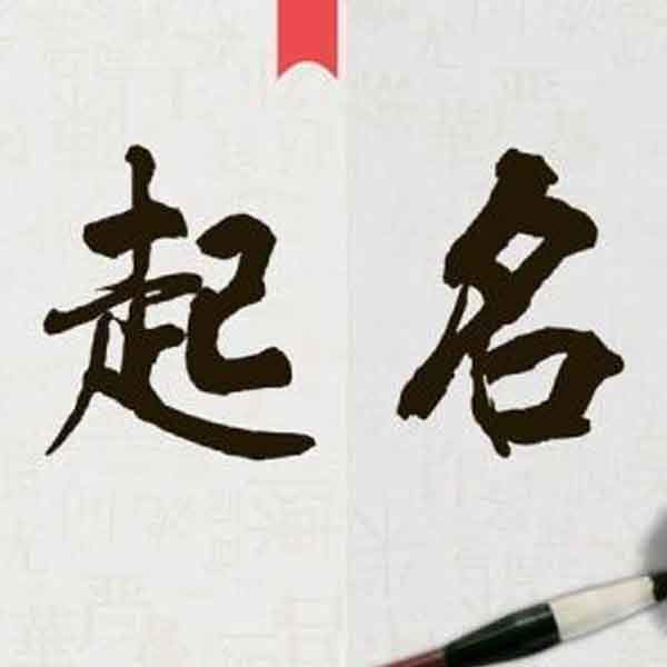 传统命名方式回归 新车预计明年正式上市 大众 ID.Polo ID.2 all 量产版正式定名 (传统命名法)