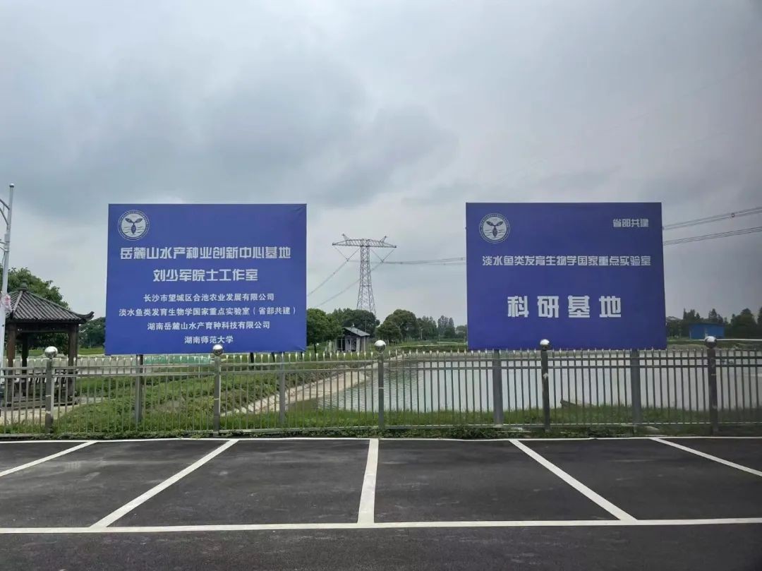 强强联手布局高精度运动控制芯片市场 雷赛智能战略投资先楫半导体 (强强联手by)