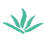 省级巡回诊疗管理平台