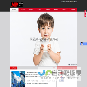 北京智微科技有限公司