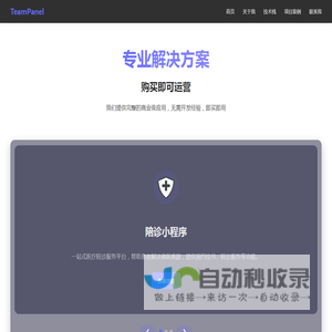 专业全栈开发