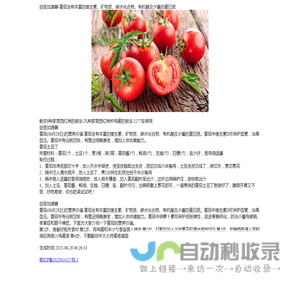 剑圣加速器
