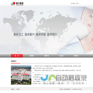 顿力集团有限公司