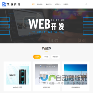 深圳网站开发