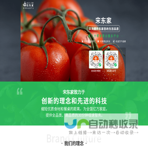 宋东家
