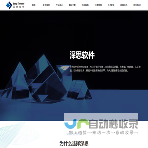 北京深思软件股份有限公司