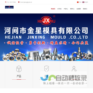 河间市金星模具有限公司