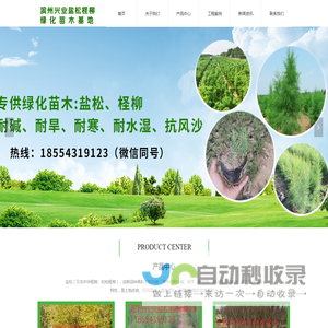 滨州盐松柽柳苗木基地